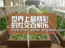 环境展示五