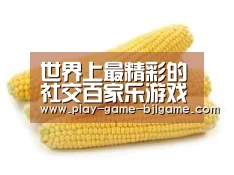 产品名称五