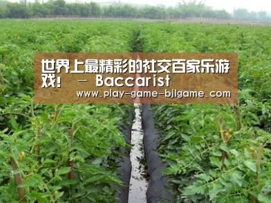 种植基地三