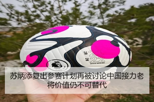 苏炳添复出参赛计划再被讨论中国接力老将价值仍不可替代